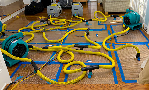 Professional Water Damage Repair technician working in Arthurdale, WV