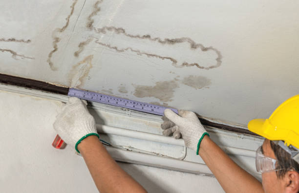 Affordable Water Damage Repair solutions in Arthurdale, WV